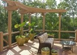 Decks Pest Inspections